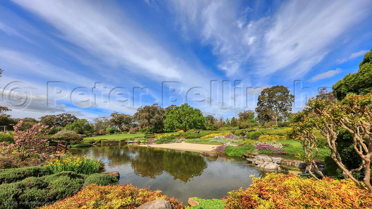 Peter Bellingham Photography Japanese Garden - Cowra